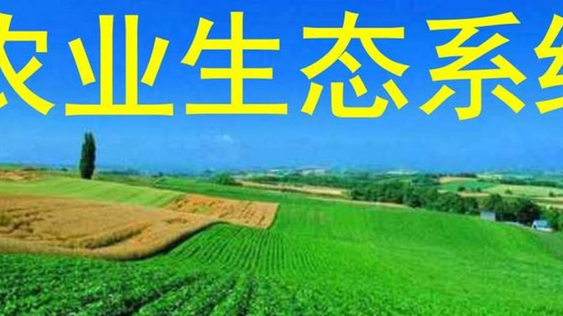 农资物流装卸注意事项
