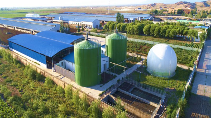 农民专业合作社注销审计报告：必要性与流程解析