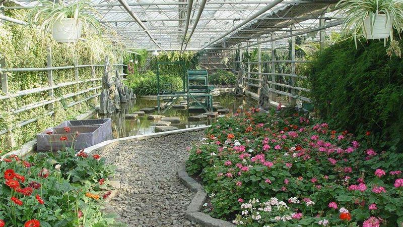 以下是一些在家庭无土种植设备领域具有较高知名度和良好口碑的品牌：
