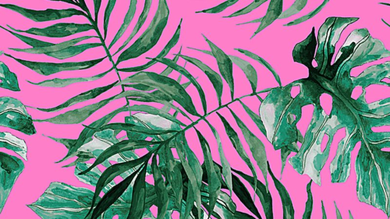阳台农业种植，土壤选择有讲究**