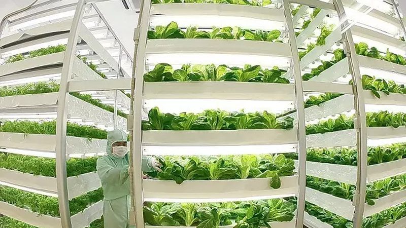 绿色食品加盟：如何规避潜在风险，保障加盟利益