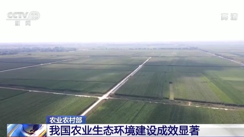 果蔬配送，把握最佳时间节点