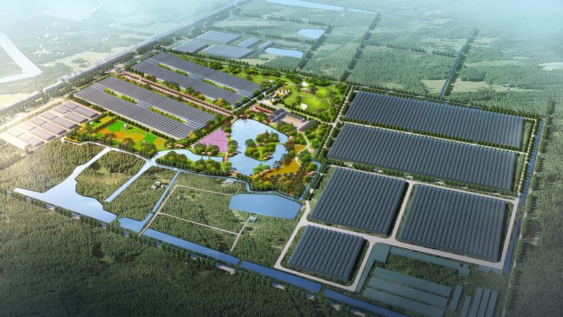 农业无人机植保服务公司注册，合规之路揭秘**