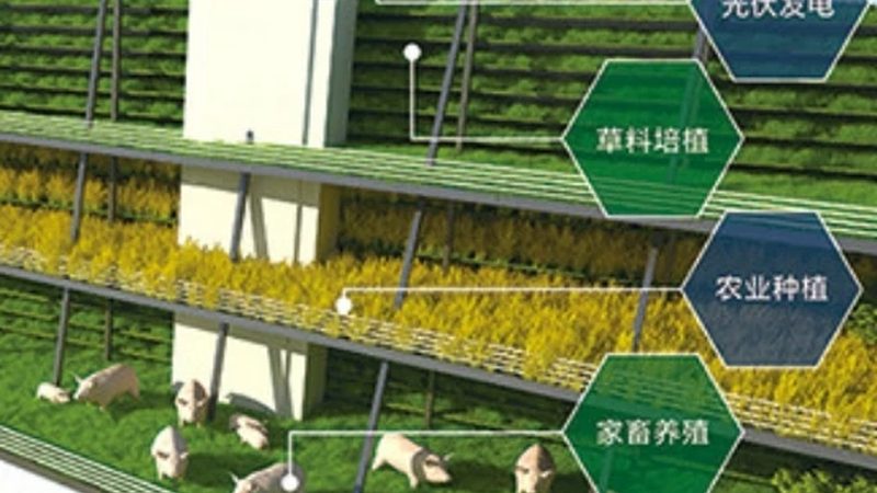 选择配送平台时，首先要考察其资质和信誉。可以通过以下途径：
