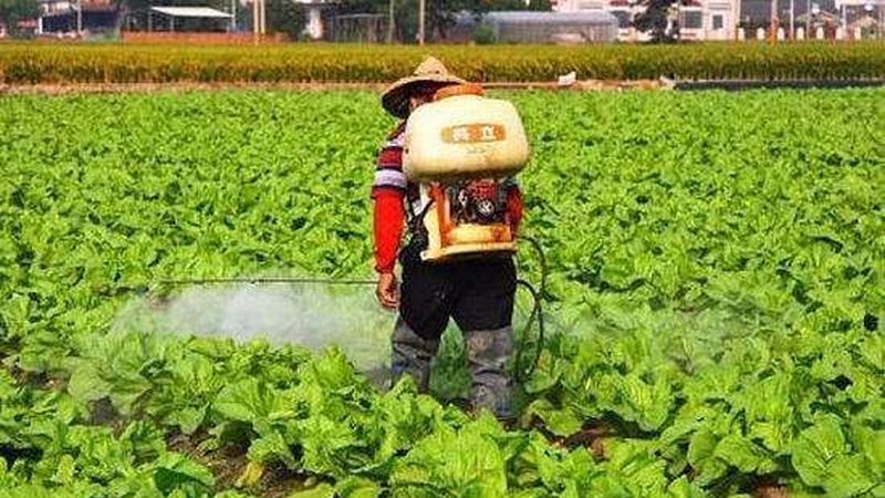 成都农资批发报价单背后的行业秘密**