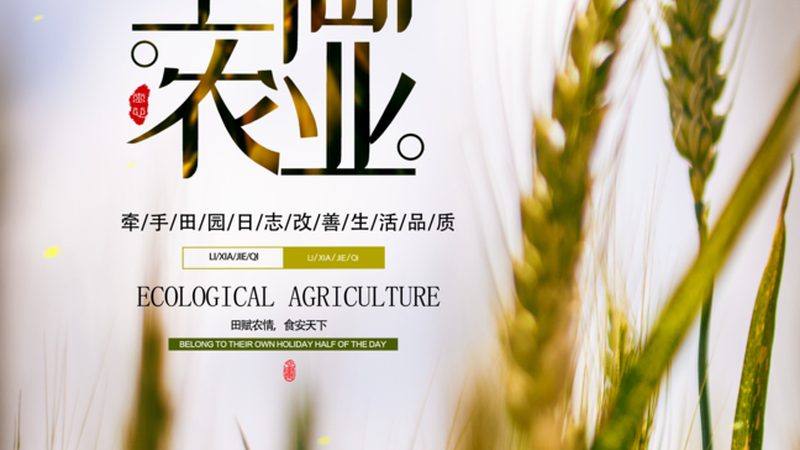 小型农业项目招标信息：如何把握政策脉搏，精准选择项目**